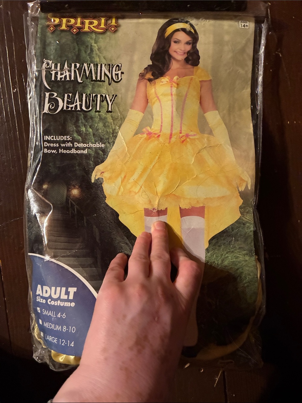 Beauty Princess Costume